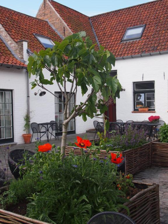 Hotel Het Oud Gemeentehuis Damme Ngoại thất bức ảnh